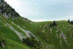 2014-07-05_Laengental-N-Hochweg (872). JPG